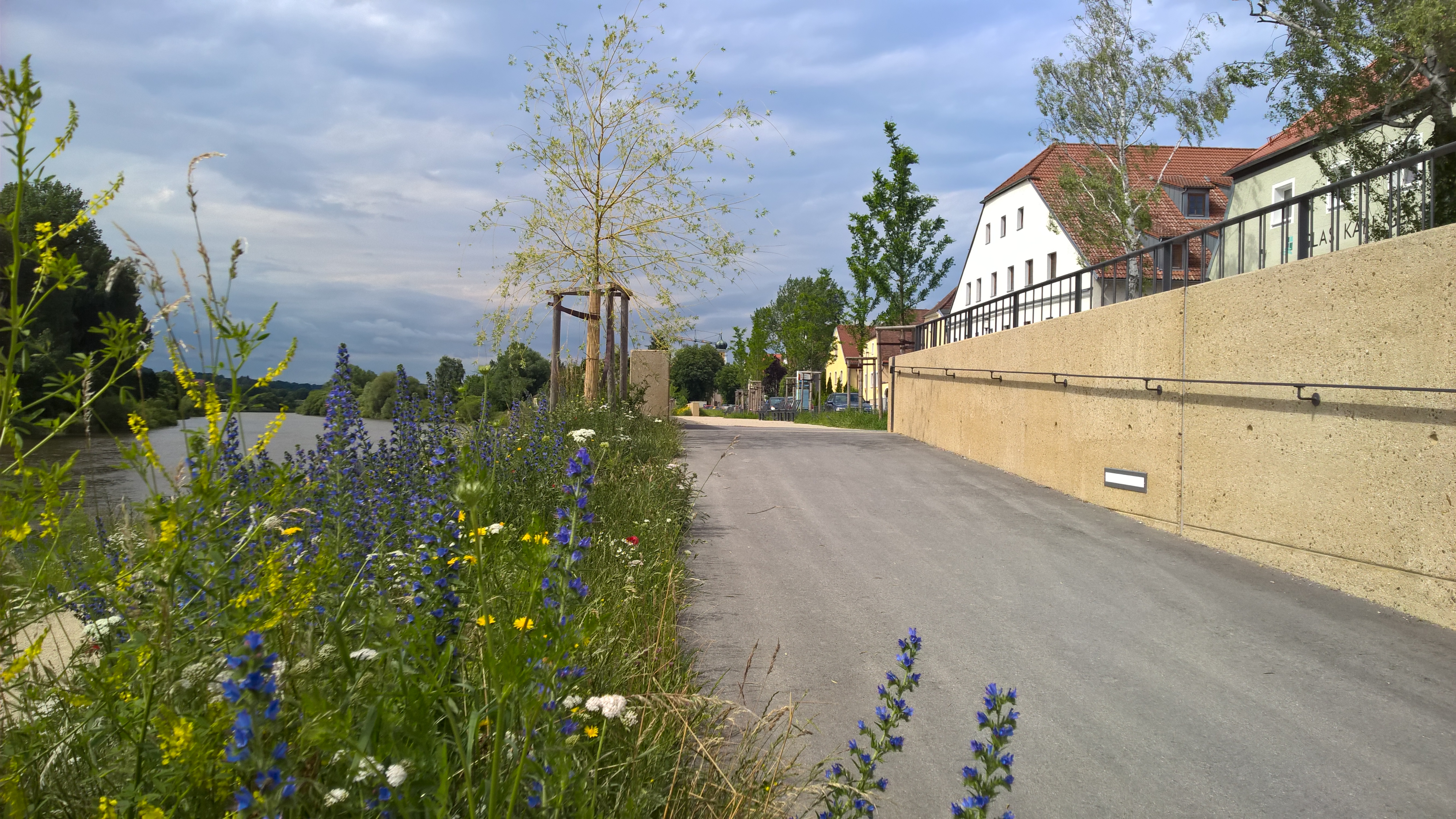 Von rechts beginnend die Bebauung, die Hochwasserschutzwand und der neu angelegte Radweg. Hier ist quer über den Radweg eine Maueröffnung, die im Hochwasserfall mit mobilen Elementen geschlossen wird. Weiter geht es mit der Hochwasserschutzwand, einem neu gepflanzen Baum, der mittlerweile blau und gelb blühenden Böschung, der Fluss Regen und die linke Uferseite mit Bewuchs.