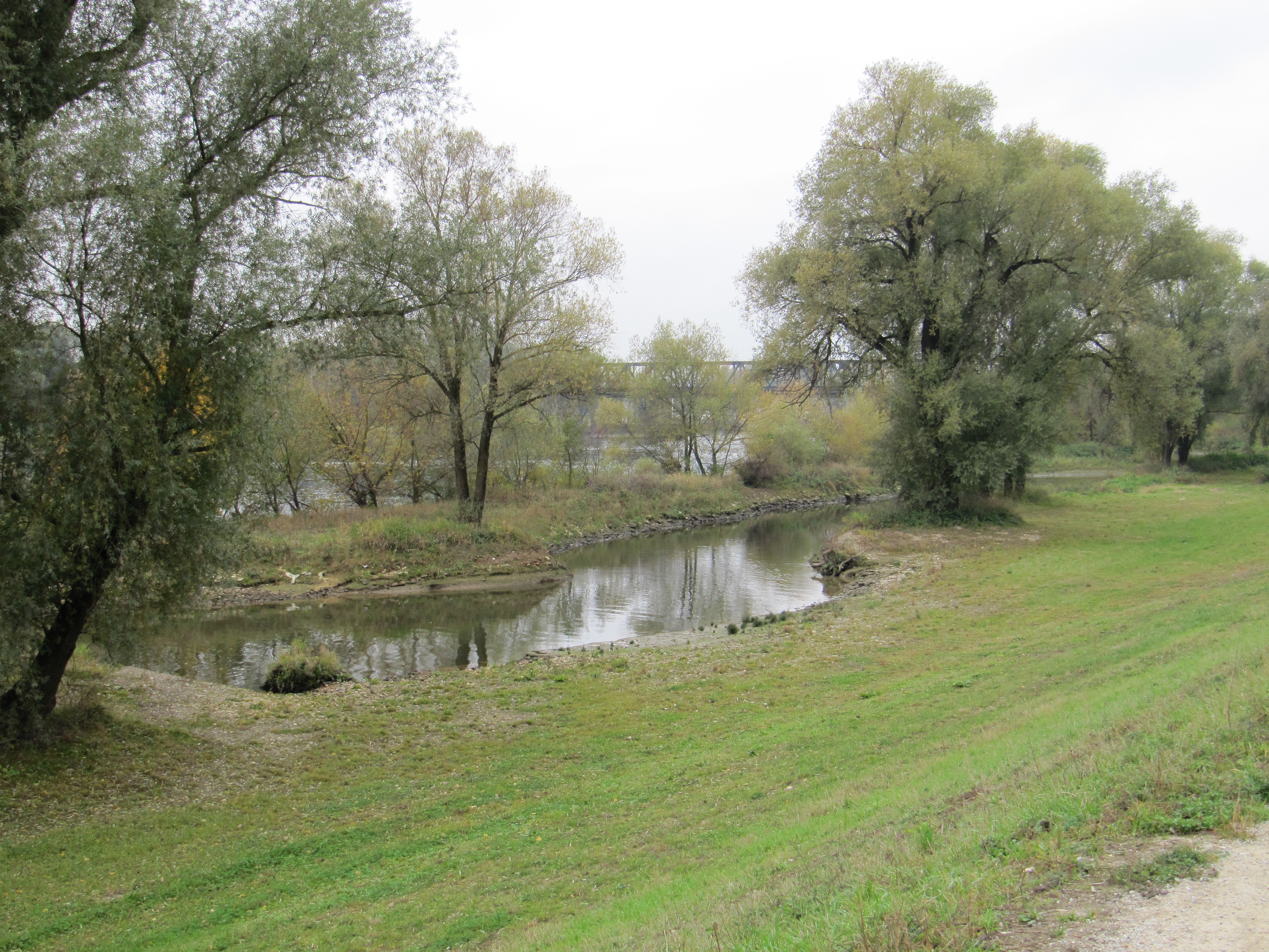 Donaunebenarm mit Bepflanzung auf beiden Seiten, im Hintergrund die Eisenbahnbrücke