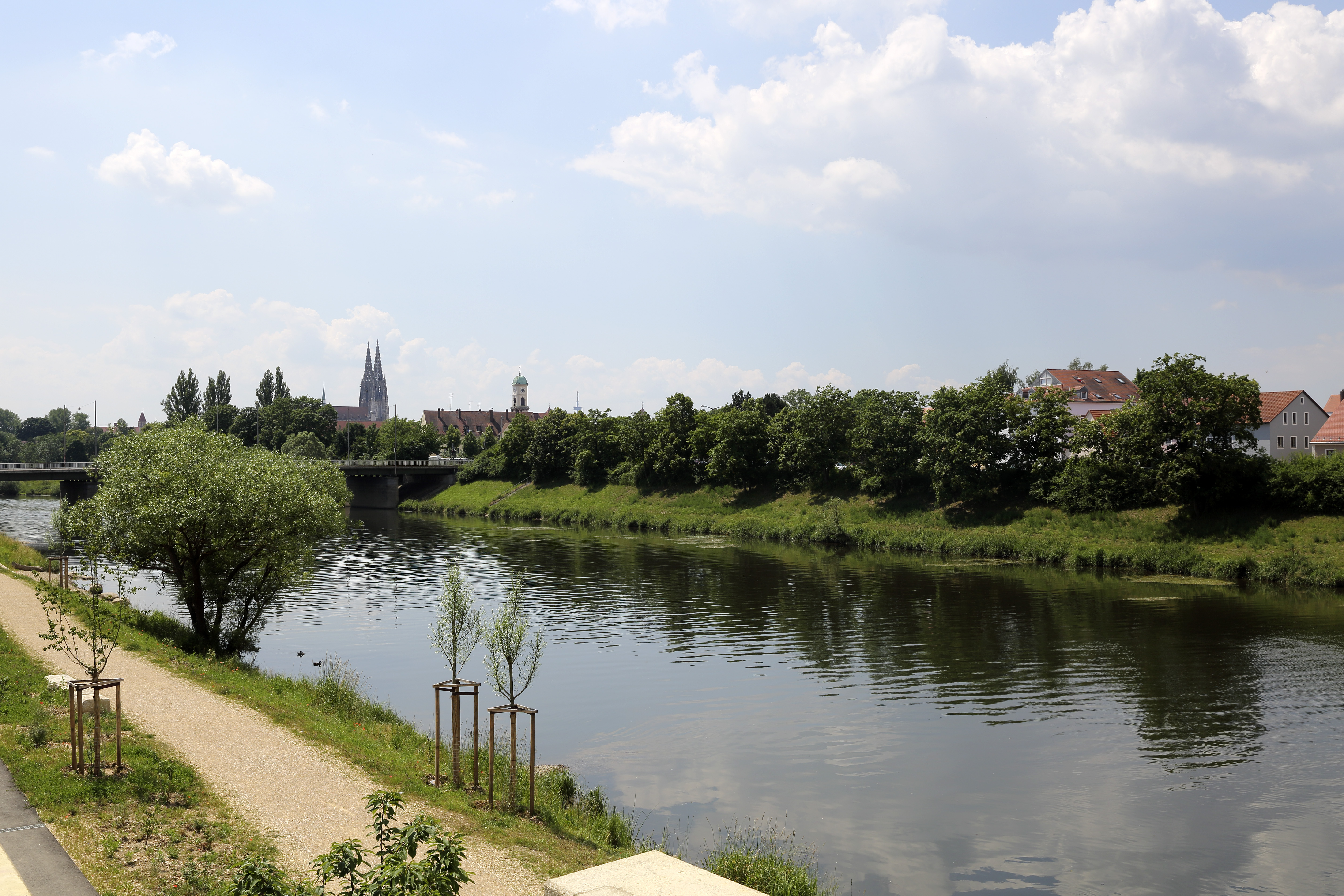 Diagonal im Bild verläuft der Fluss Regen, links davon der Uferweg mit neu gepflanzen Bäumen, das rechte Ufer mit Bewuchs und Bebauung. Im Hintergrund ist die Frankenbrücke, der Dom und der Kirchturm von St. Mang zu sehen.
