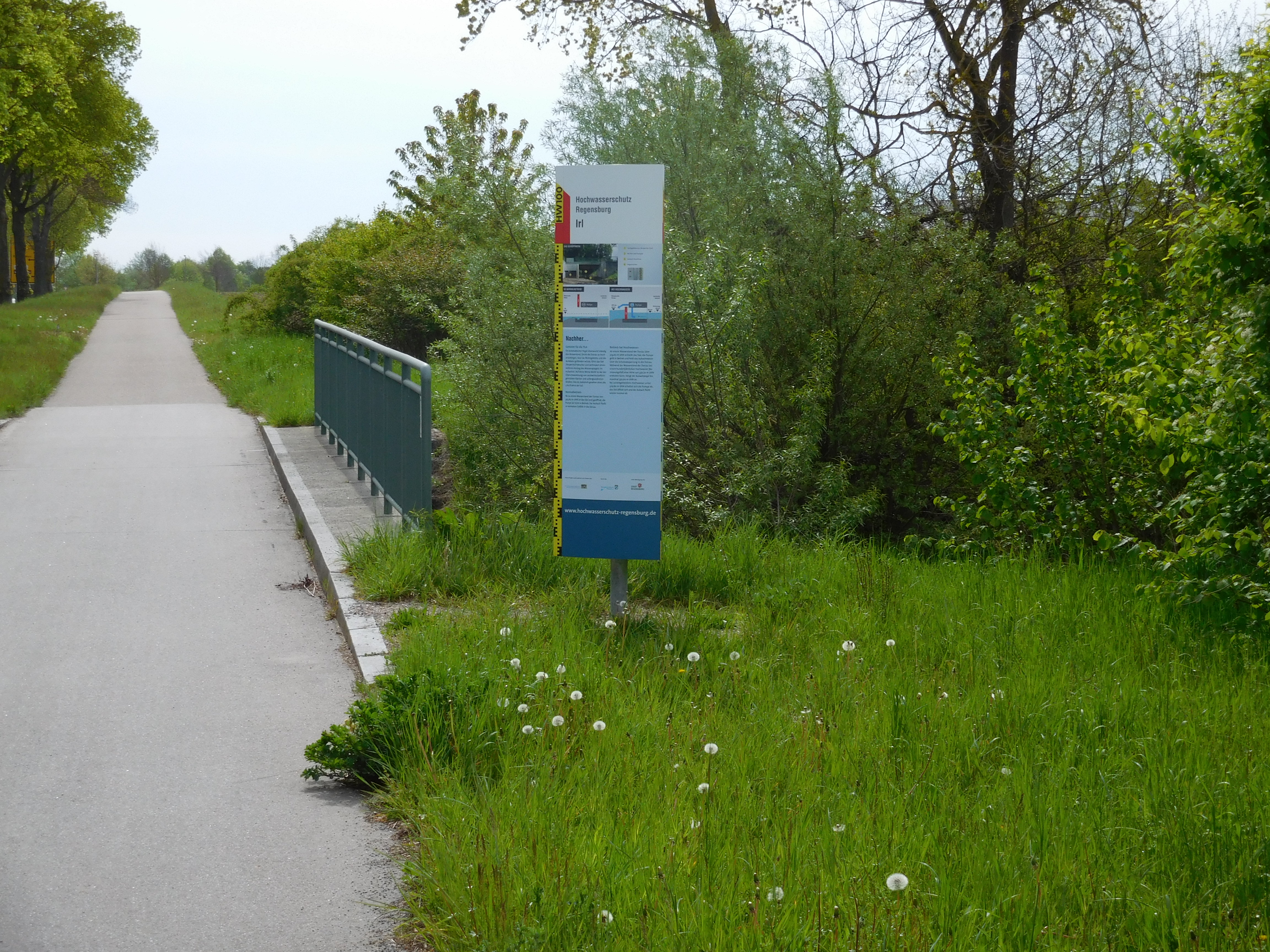 In der Mitte des Bildes steht eine Informationstafel zum Schöpfwerk Irl in der Wiese. Links davon eine Baumreihe, der Radweg und ein Geländer. Rechts Bäume und Sträucher.