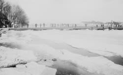 geschlossene Eisdecke; im Hintergrund die Reinhausener Brücke