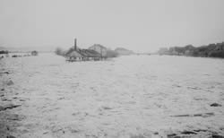 Eisschollen in der Donau mit dem Unteren Wöhrd im Hintergrund