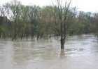 Hochwasser im Donaunordarm mit überschwemmter Jahninsel