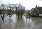 Hochwasser Am Beschlächt Oberer Wöhrd