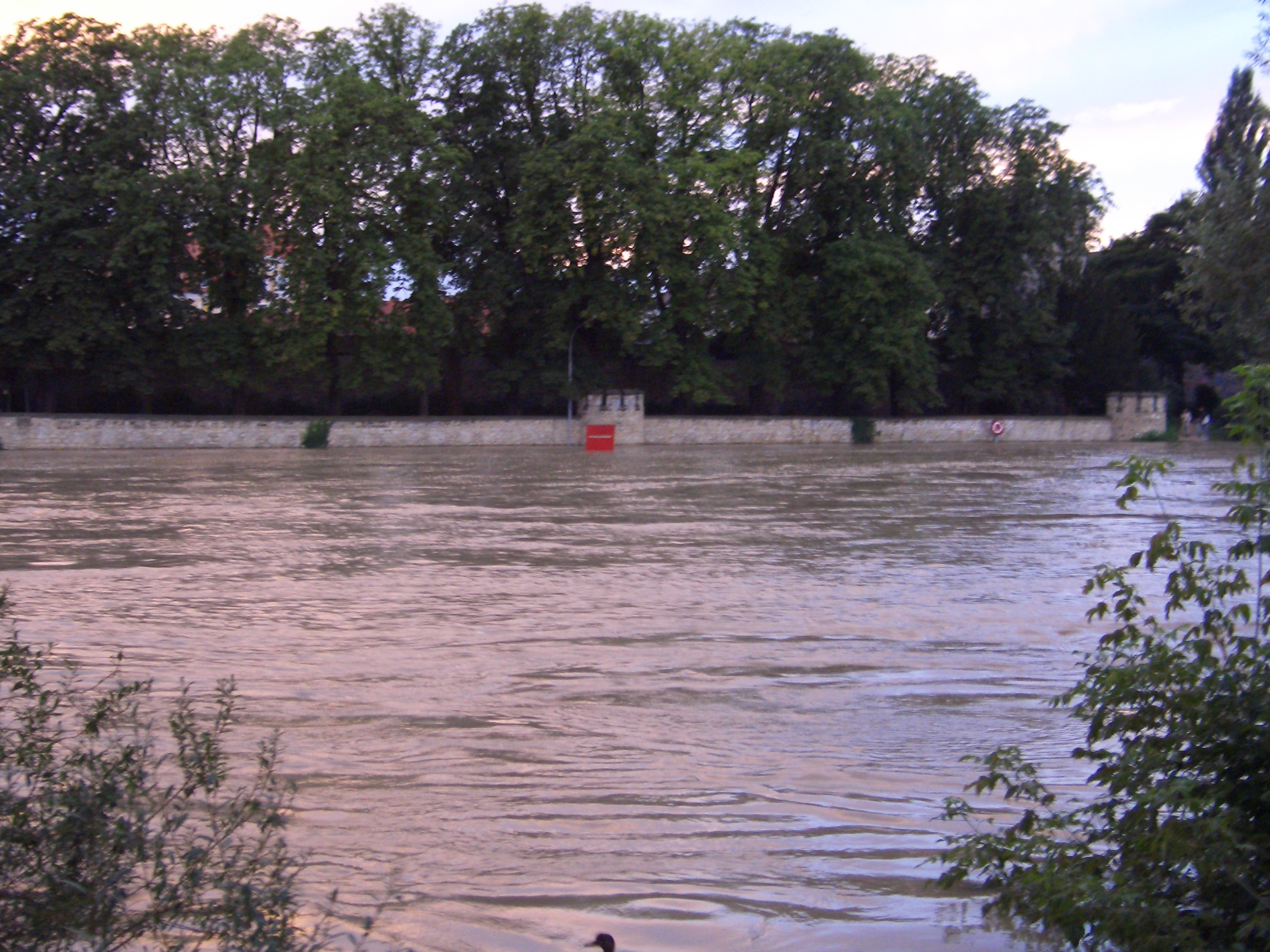 Hochwasser in der Donau, Blick auf den Villapark im Hintergrund
