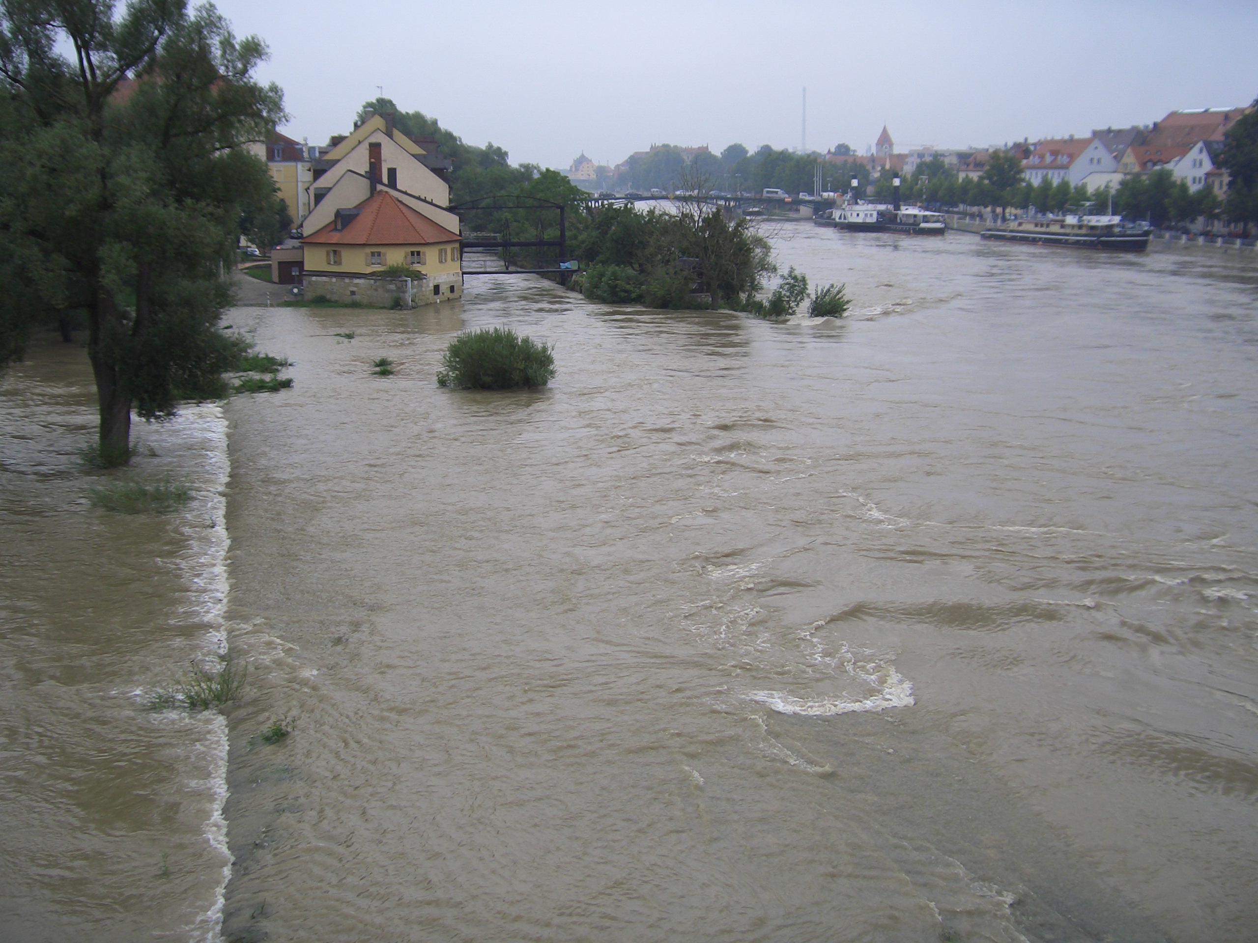 überschwemmtes Bschlächt mit dem Unteren Wöhrd im Hintergrund