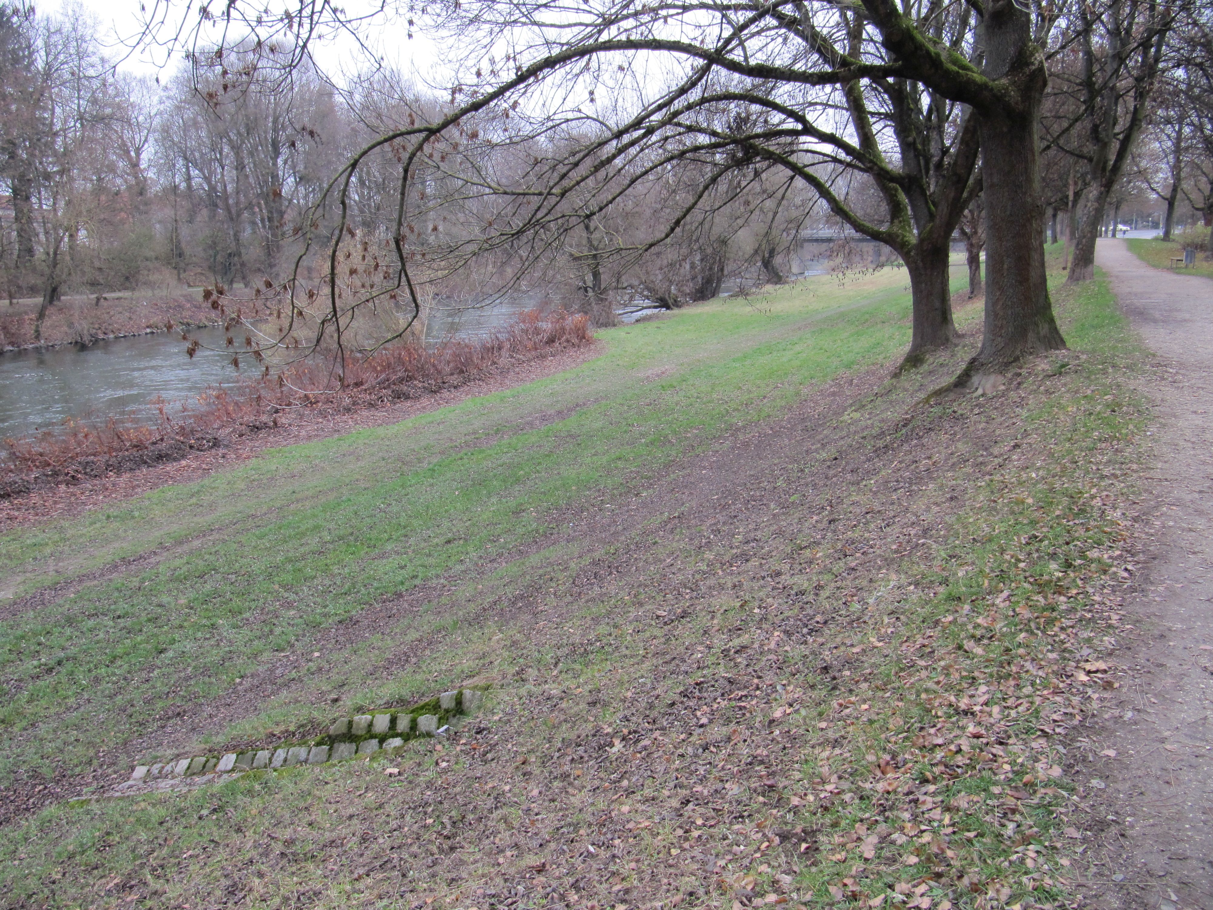 Jahninsel, Richtung Grieser Steg Weg entlang eines Flusses der links und rechts mit großen Bäumen bewachsen ist. Im Hintergrund ein Steg der über den Fluss führt