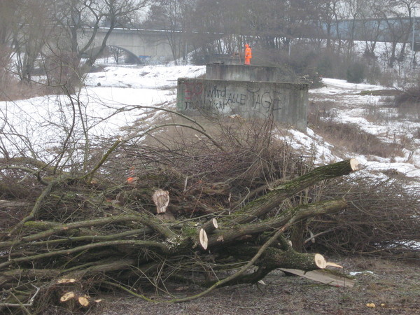 In der Mitte des Fotos ist das Kanalbauwerk zu sehen. Für die Erhöhung des Damms werden die vorhandenen Bäume gerodet.