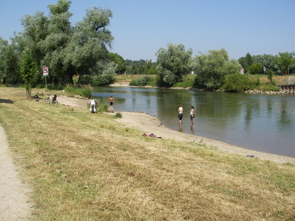 Eine Wiese mit Sandstrand zur Donau mit mehreren Personen auf dem Gras oder im Wasser.