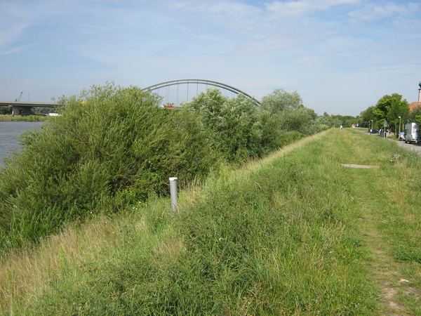 Ein grüner Damm mit einer Brücke im Hintergrund. 