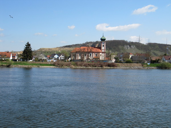 Die Donau ganz breit und blau vorne im Bild. Dahinter Schwabelweis mit Kirche und Häuser entlang der Doanu.