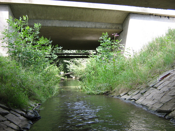 Ein Bach läuft unter einer Straßenbrücke durch. Wenig Wasser und Pflanzenwuchs an beiden Seiten