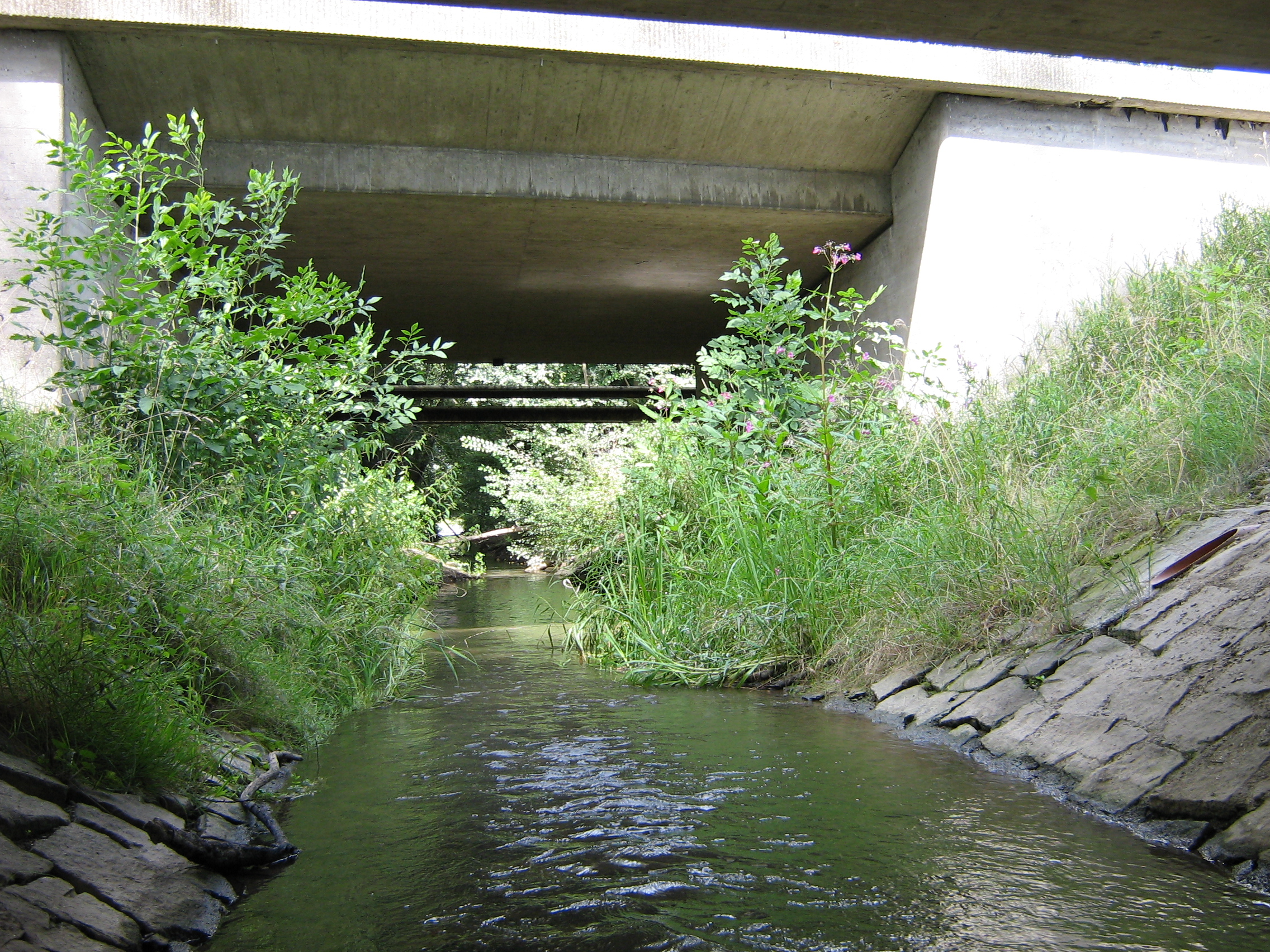 B8 Brücke über den Aubach bei Irl Ein Bach läuft unter einer Straßenbrücke durch. Wenig Wasser und Pflanzenwuchs an beiden Seiten