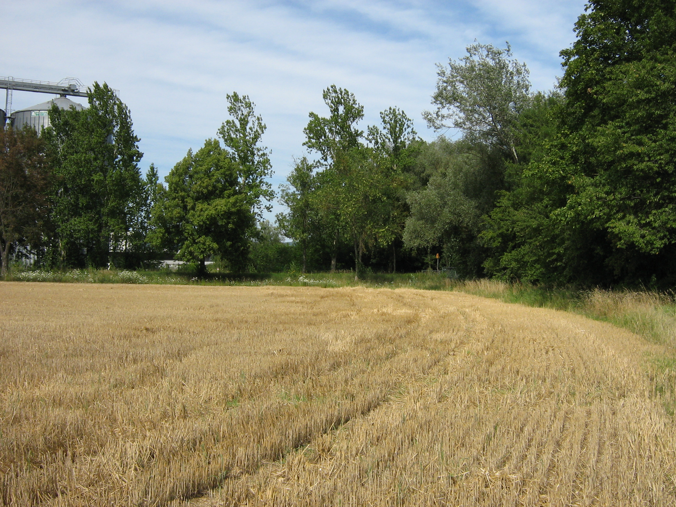 Überflutungsfläche bei Irl Feld, unbebaut!