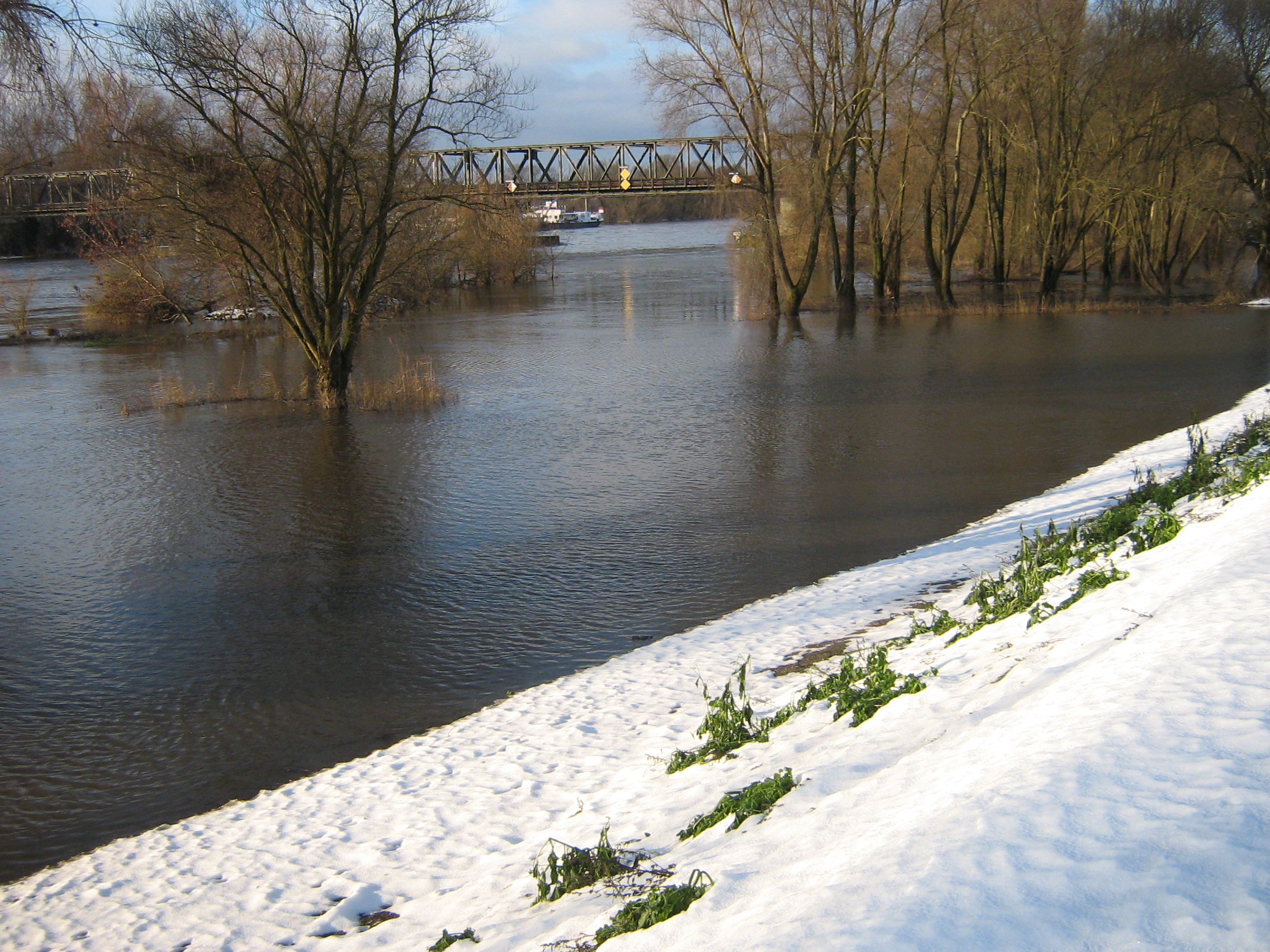 überflutetes Vorland bei Schwabelweis Überschwemmte Wiesenflächen, die als Uferstreifen der Donau Platz geben zum Ausbreiten.