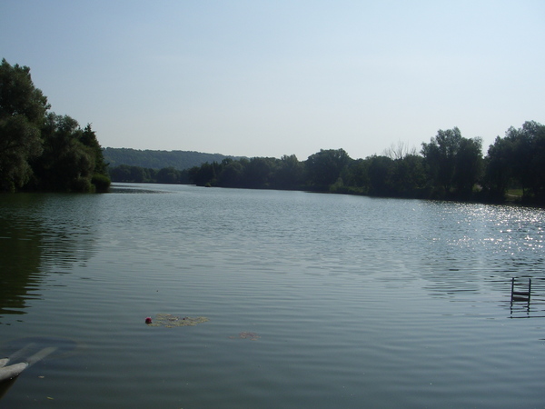Blick auf die Donau bei normalen Wasserstand